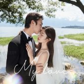 洱海树林-余生祈求，爱与自由，你与温柔 ​​​​