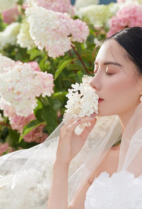 听花谷-花语轻轻诉