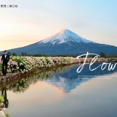 听花谷-花语轻轻诉