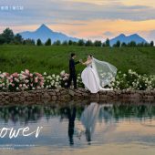 听花谷-花语轻轻诉