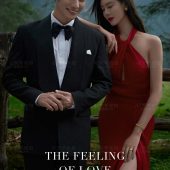 云杉坪-Predestined Soulmate