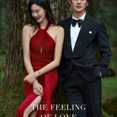 云杉坪-Predestined Soulmate