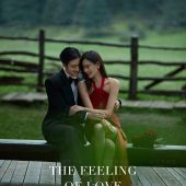 云杉坪-Predestined Soulmate