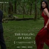 云杉坪-Predestined Soulmate