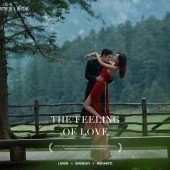 云杉坪-Predestined Soulmate