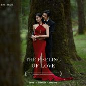 云杉坪-Predestined Soulmate