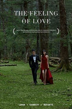 云杉坪-Predestined Soulmate