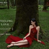 云杉坪-Predestined Soulmate