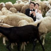 风车山-Close Close Lover