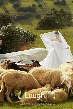 风车山-Close Close Lover