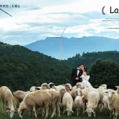 风车山-Close Close Lover