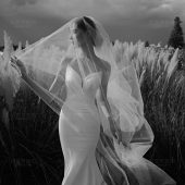 听花谷-山有木兮