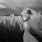 听花谷-山有木兮