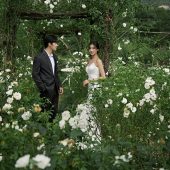 听花谷-山有木兮