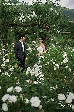 听花谷-山有木兮