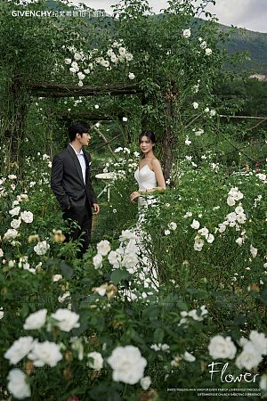 听花谷-山有木兮