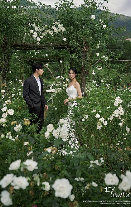 听花谷-山有木兮