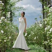 听花谷-山有木兮