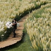 听花谷-山有木兮