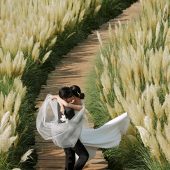 听花谷-山有木兮