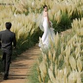 听花谷-山有木兮