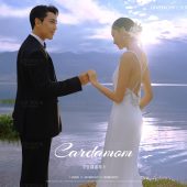 洱海畔-豆蔻流年