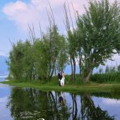 洱海畔-豆蔻流年