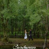 洱海畔-豆蔻流年