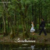 洱海畔-豆蔻流年