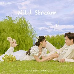 海西里里-山野栖溪