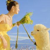 华尔兹-夏了夏天