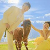 华尔兹-夏了夏天