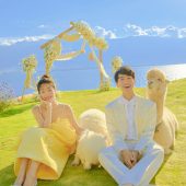 华尔兹-夏了夏天