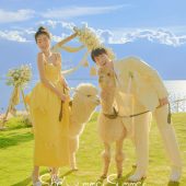 华尔兹-夏了夏天