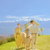 华尔兹-夏了夏天