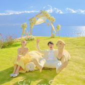 华尔兹-夏了夏天