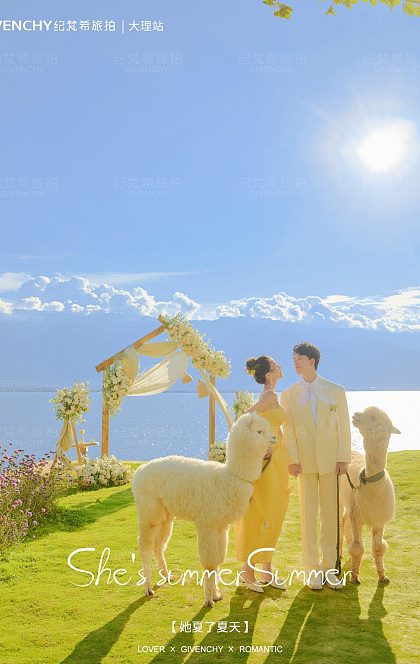 华尔兹-夏了夏天