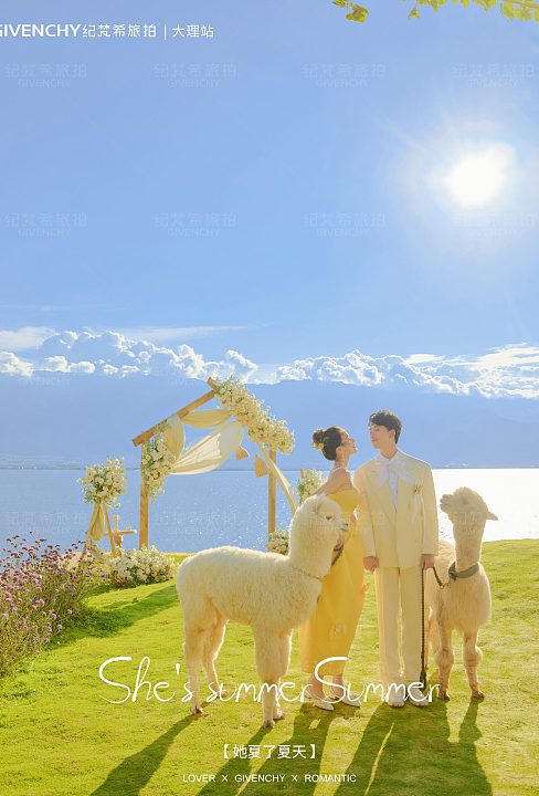 华尔兹-夏了夏天