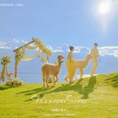 华尔兹-夏了夏天