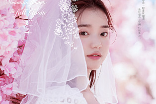 春日花式婚照在心头