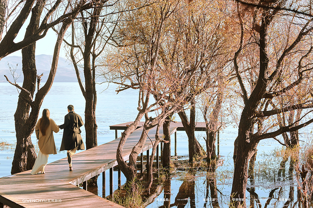 大理客片 | 风花雪月，舒展至柔