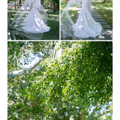 大小洞天-POMANCE