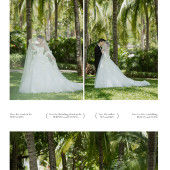 大小洞天-小森林