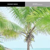 大小洞天-记录快乐