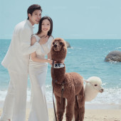 大小洞天-海边萌宠