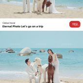 大小洞天-海边萌宠