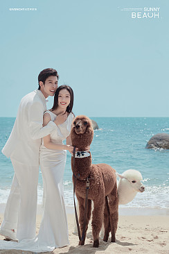 大小洞天-海边萌宠