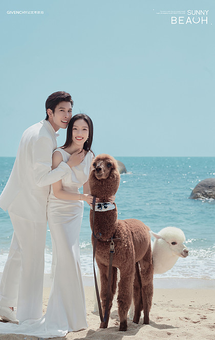 大小洞天-海边萌宠