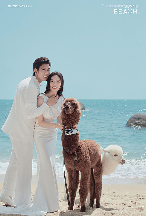 大小洞天-海边萌宠