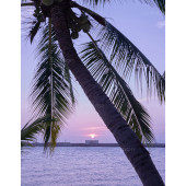 大小洞天-紫色落日